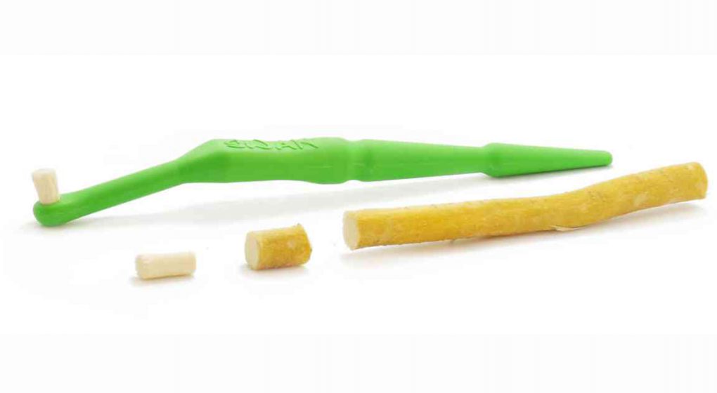 Miswak Zahnbürste - Festival der Sinne Onlinemagazin Miswak Zahnbürste