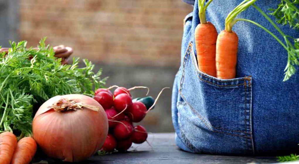 Darmgesundheit - So halten Sie Ihr Immunsystem gesund Darmgesundheit - So halten Sie Ihr Immunsystem gesund