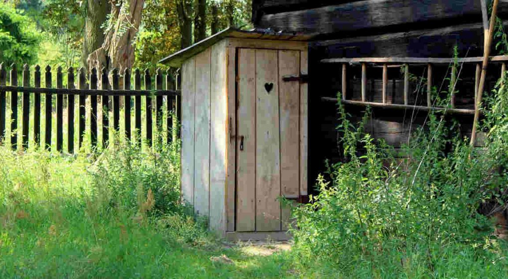 Darmsanierung aus Sicht der TCM Darmsanierung aus Sicht der TCM
