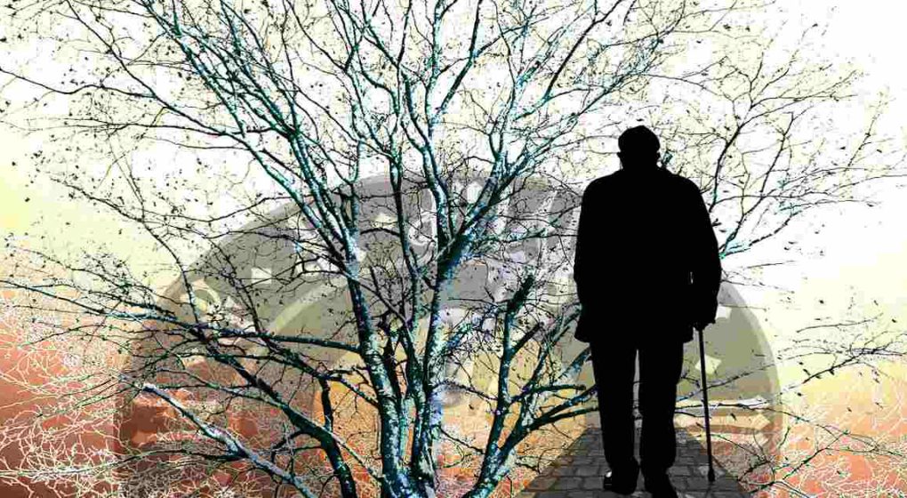 Alzheimer Demenz: Heilungschancen durch Naturheilkunde Alzheimer Demenz: Heilungschancen durch Naturheilkunde