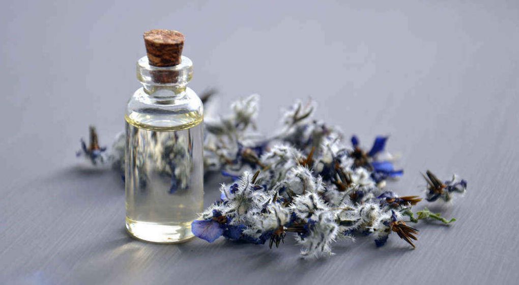 Lebenselixiere zum Selber machen – Natürliche Ressourcen nutzen Lebenselixiere zum Selber machen – Natürliche Ressourcen nutzen