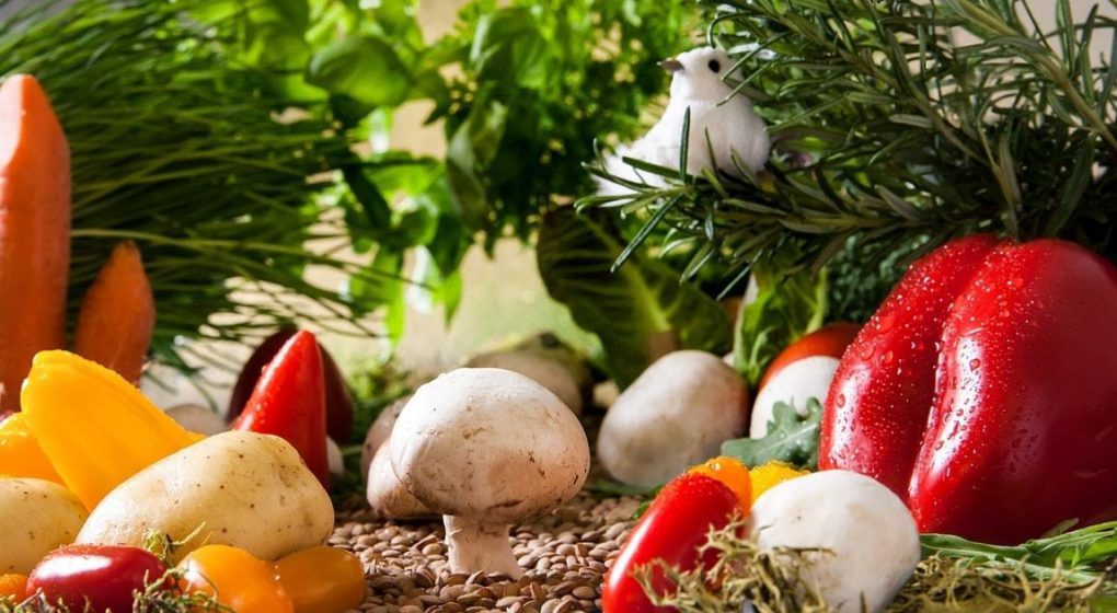 Hält Vegetarismus was er verspricht? Hält Vegetarismus was er verspricht?