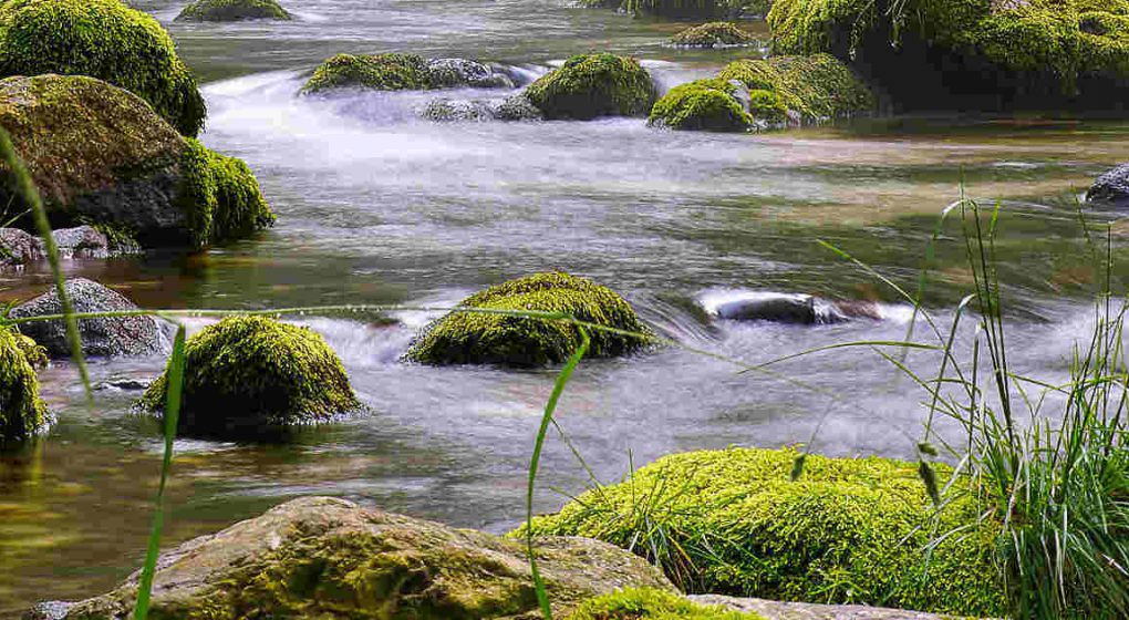 Wasserbelebung Ausseer Wassermann Wasserbelebung Ausseer Wassermann