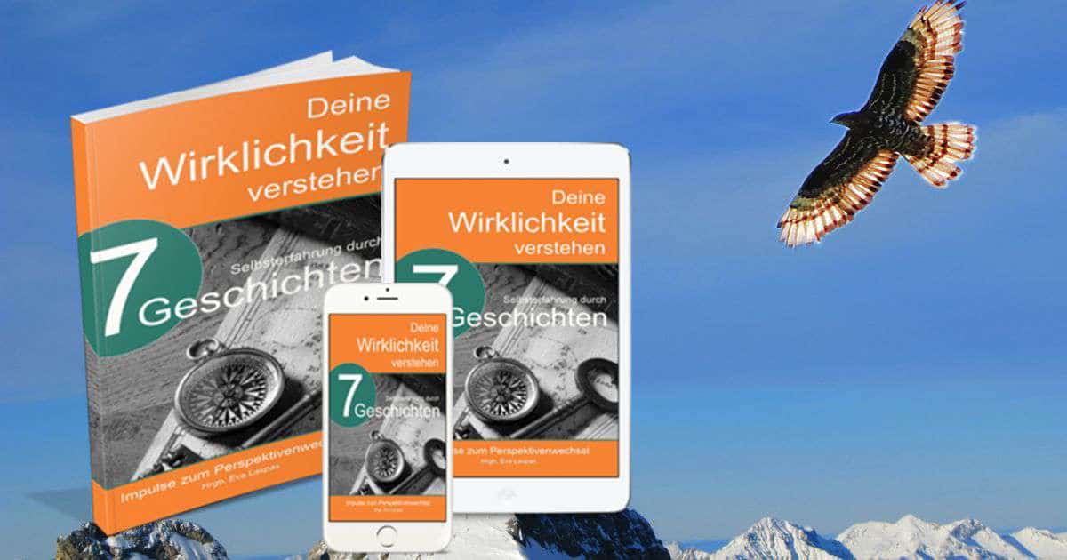 Buch: Deine Wirklichkeit verstehen. Impulse zum Perspektivenwechsel Buch: Deine Wirklichkeit verstehen. Impulse zum Perspektivenwechsel