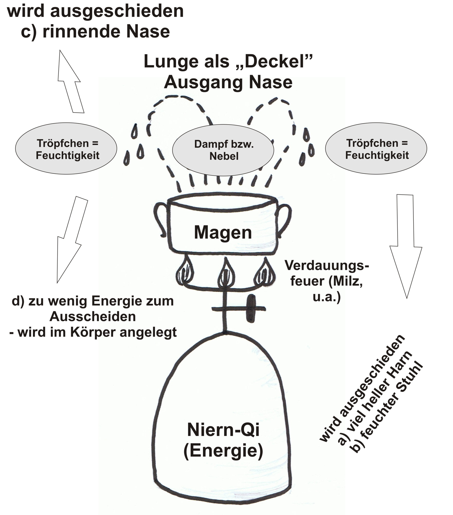 Qi und das Gaskochermodell Copyright Eva Laspas (großansicht)