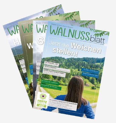 WALNUSSblatt - Umbruch, Transformation, Paradigmenwechsel (Abo)